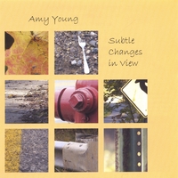 AMY YOUNG: Subtle Changes in View
