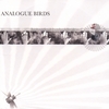 ANALOGUE BIRDS: Handnmouthmadedrumnbassdubbreaktrance