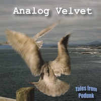 Analog Velvet : Tales from Podunk