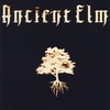 ANCIENT ELM: Ancient Elm