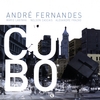 ANDRE FERNANDES: Cubo