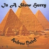 ANDREW BAIRD: In A Slow Hurry