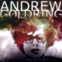 Andrew Goldring : The Other Side