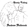 ANDREW HOLBROOK: Gently Falling