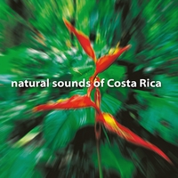 Andrew Roth : Natural Sounds of Costa Rica