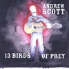 ANDREW SCOTT: 13 Birds of Prey