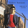 ANDREW SORENSON: Dream It Good