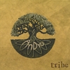 AnDro: Tribe
