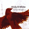 ANDY B WHITE: Dirty Wings EP