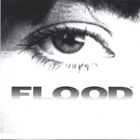 AndyT13 : Flood