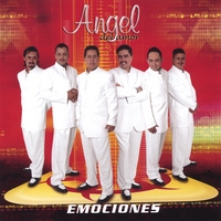 Angel Del Amor : Emociones