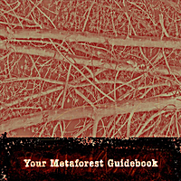 Anna Joy Springer: Your Metaforest Guidebook