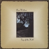 ANN WALTON: Top of the Hill