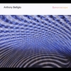 Anthony Belfiglio: Sonoroscope