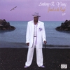 ANTHONY E.YOUNG: Jewels In The Rough Lp