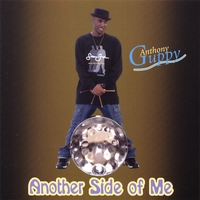 Another Side Of Me album cover