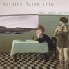 THE ANTOINE SALEM TRIO: Small Homey Arsenal