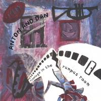 ANTON AND DAN: fuselage in the rumpus room