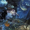 ANTON ROOLAART: Dreamer