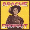 APACHE DROPOUT: Apache Dropout