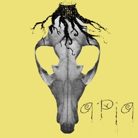 APIA: Breathe