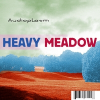 AUDIOPLASM: Heavy Meadow