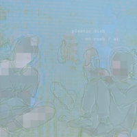 AR: plastic dish no rush