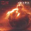 ARCADIA: Fracture Concrete