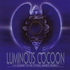 ARIEL SPILSBURY: Luminous Cocoon