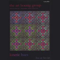 ARI HOENIG: Kinetic Hues DVD