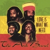 THE ARK BAND: Love Is What We Need