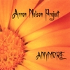 ARRON NELSON PROJECT: Anymore