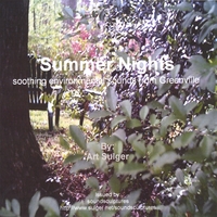 ART SULGER: Summer Nights