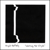 ARYEH NAFTALY: Waiting For Elijah