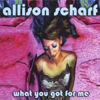 Allison Scharf : What You Got For Me