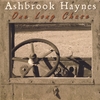 ASHBROOK HAYNES: One Long Chase