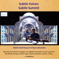 Ashish Sankrityayan, Skye Lofvander : Subtle Voices : Subtle Summit