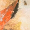 ASK NORA: Circling As Warmth