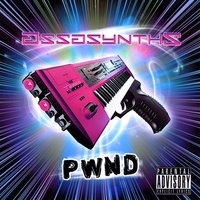 Assasynths : PWND