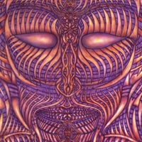 Astralingua : Contact