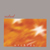 ASTRAL: Orchids
