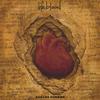 ANDREA SUMMER: Lifeblood