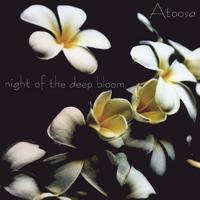 atoosa : night of the deep bloom