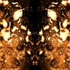 ATRA AETERNA: Born of Burning Morning Dreams