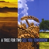 A TREE FOR TWO: See You Tomorrow