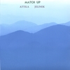 ATTILA JELINEK: Match Up