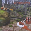 ATTILA JELINEK: Guitarhunter