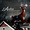 Audra: Let the Reindeer Live On My Roof