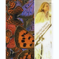 Marilyn Ingram : Moth to the Flame