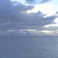AUSTERE/ABSTRACT AUDIO SYSTEMS: evergone